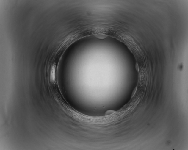 X0000098080046200804041159