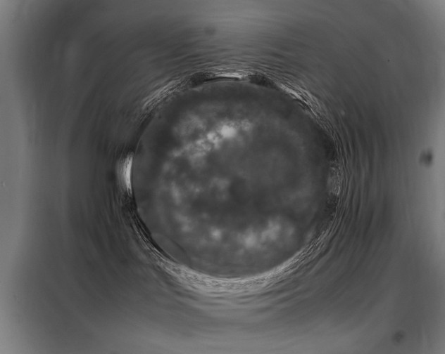 X0000098080047200804041159