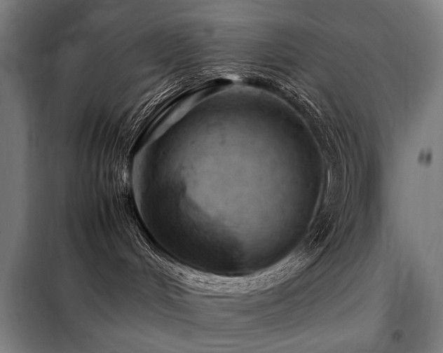 X0000098080048200804041159