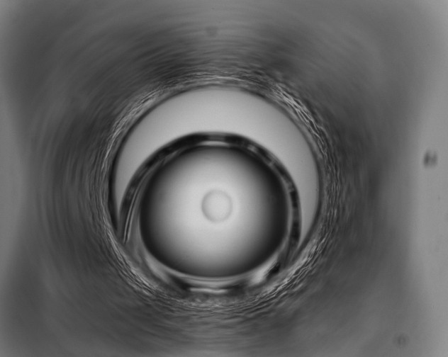 X0000098080049200804041158