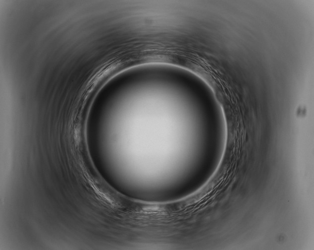X0000098080050200804041158