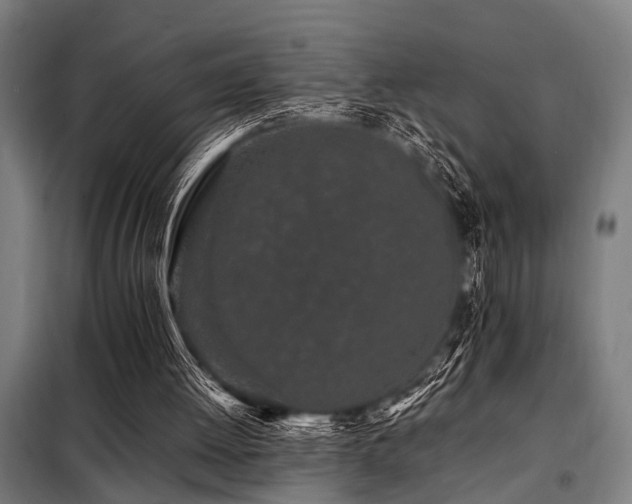 X0000098080052200804041158