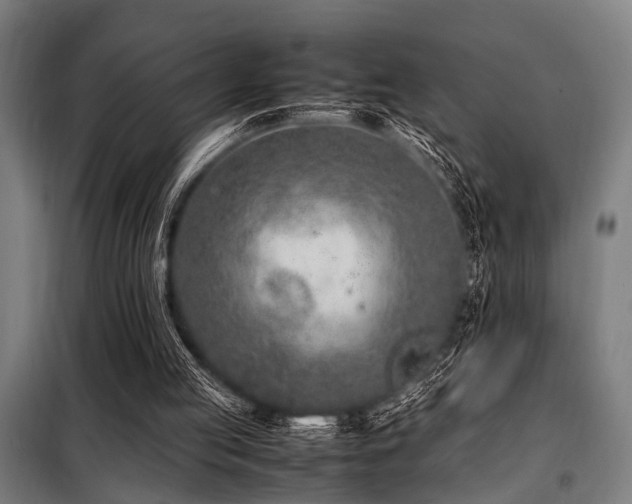 X0000098080053200804041158