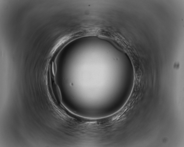 X0000098080054200804041158