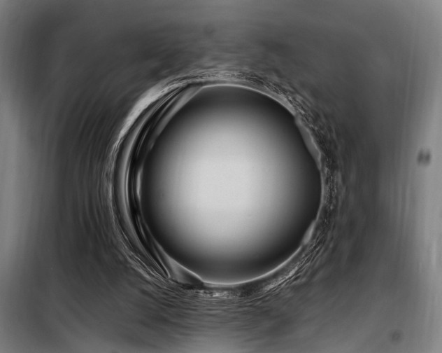 X0000098080056200804041158