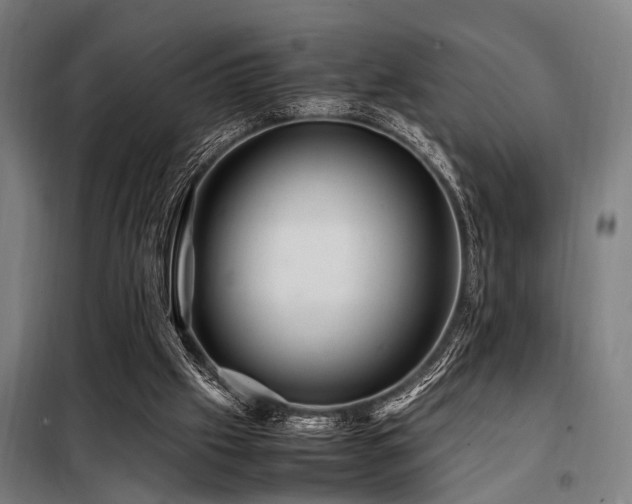 X0000098080057200804041158