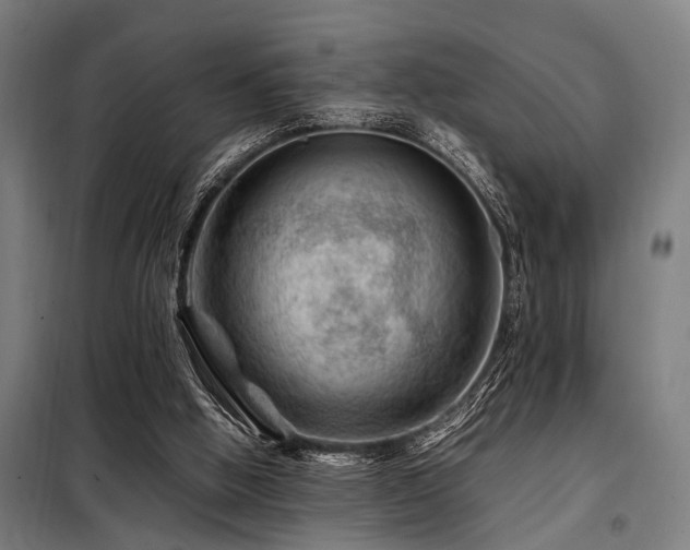 X0000098080058200804041158