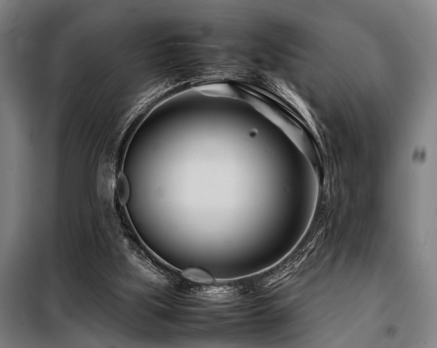 X0000098080059200804041158