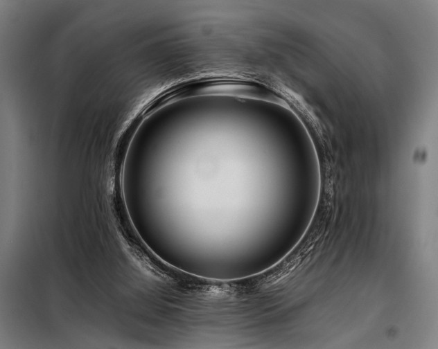 X0000098080060200804041158