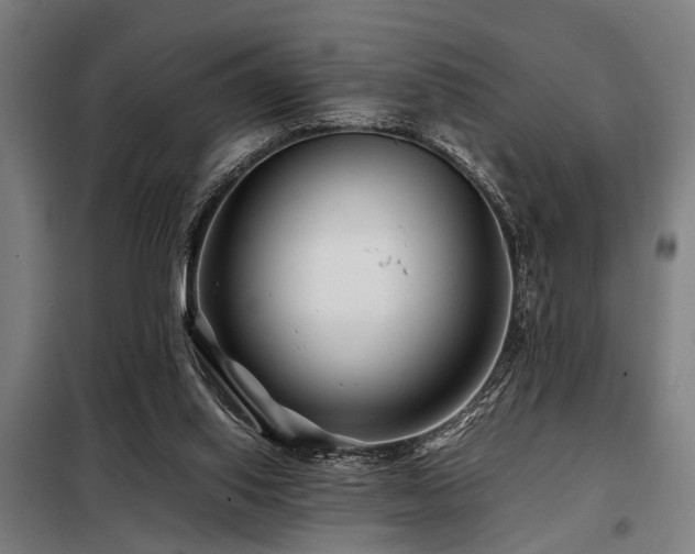 X0000098080062200804041158