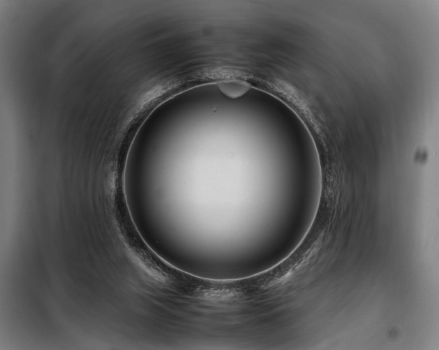 X0000098080063200804041158