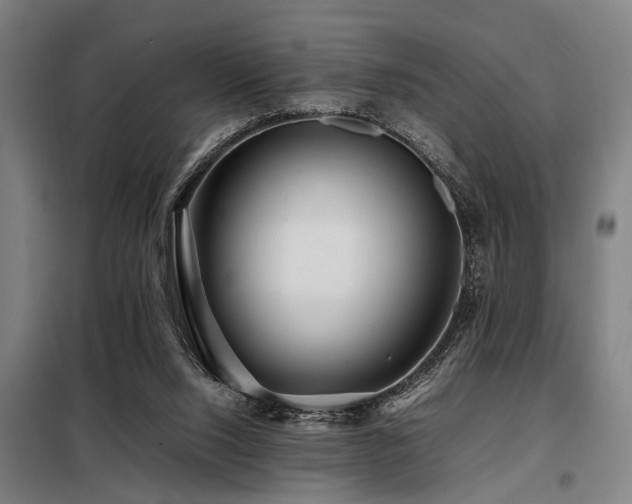 X0000098080064200804041158