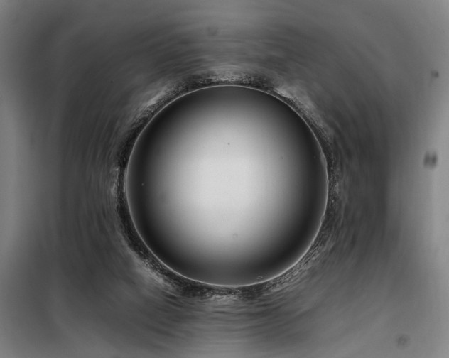 X0000098080066200804041158