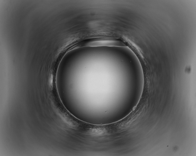 X0000098080067200804041158