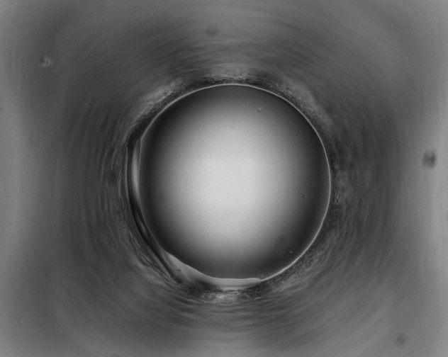 X0000098080068200804041158