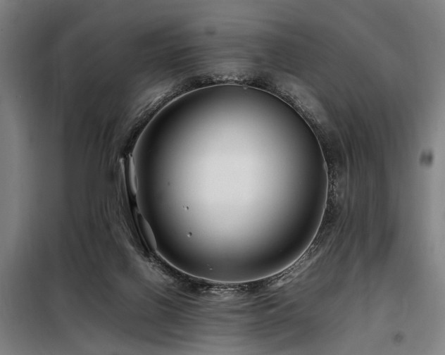 X0000098080070200804041158
