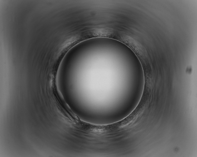 X0000098080071200804041158