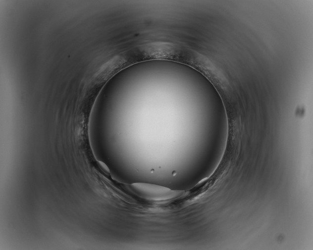 X0000098080073200804041158