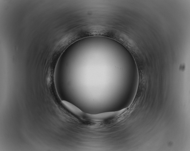 X0000098080074200804041158
