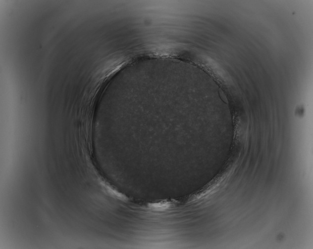 X0000098080076200804041158