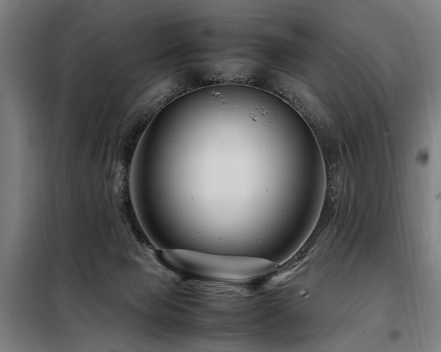 X0000098080077200804041158