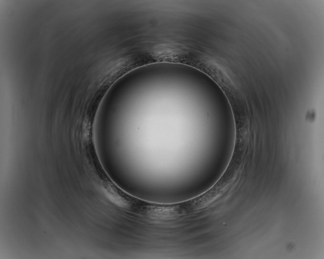 X0000098080081200804041158