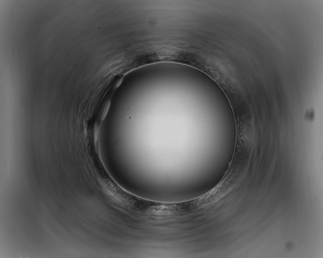 X0000098080082200804041158