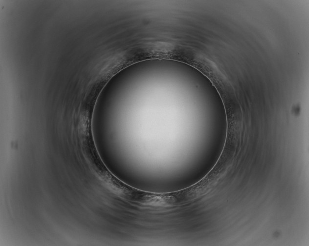 X0000098080083200804041158