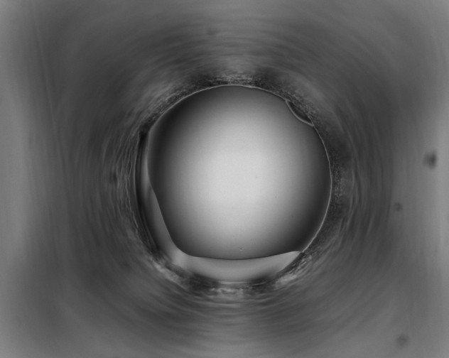 X0000098080084200804041158