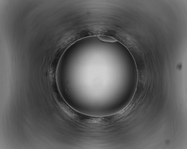 X0000098080086200804041158