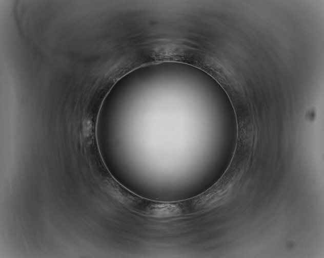 X0000098080087200804041158