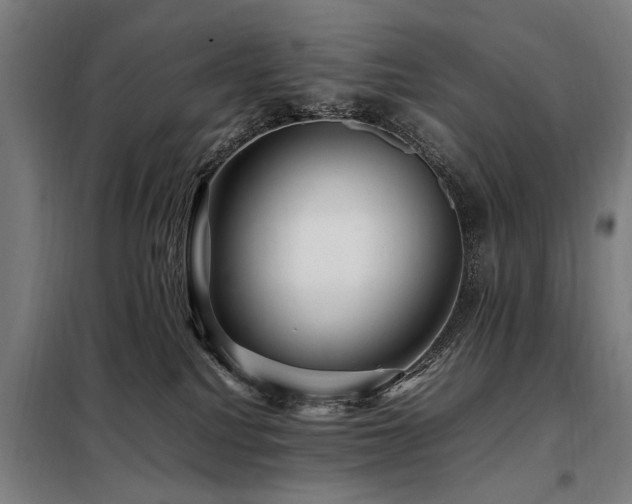 X0000098080088200804041158