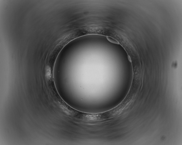 X0000098080089200804041158