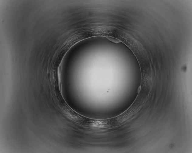 X0000098080091200804041158