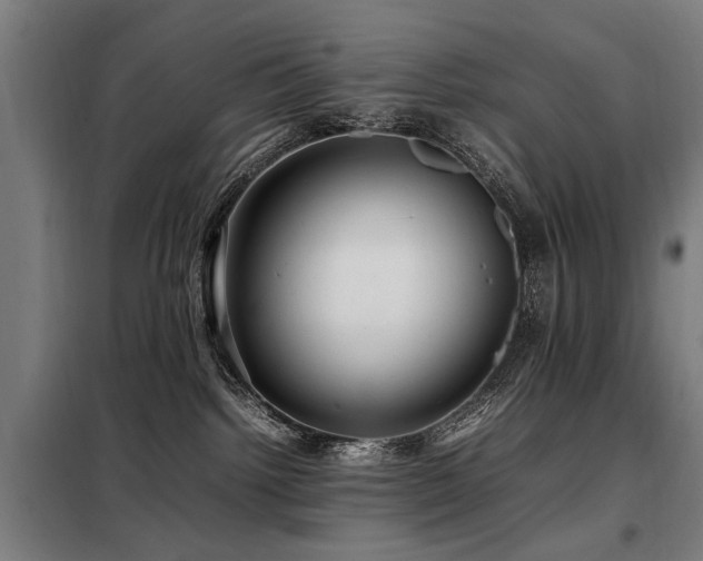 X0000098080092200804041159