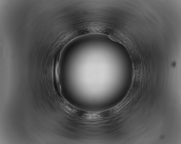 X0000098080093200804041159