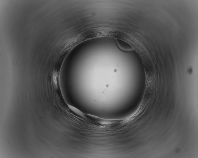 X0000098080094200804041159