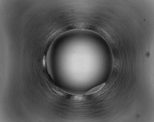 X0000098080095200804041159