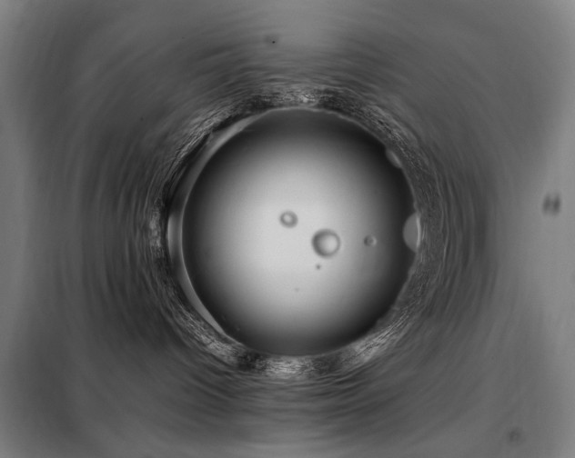 X0000098080096200804041159