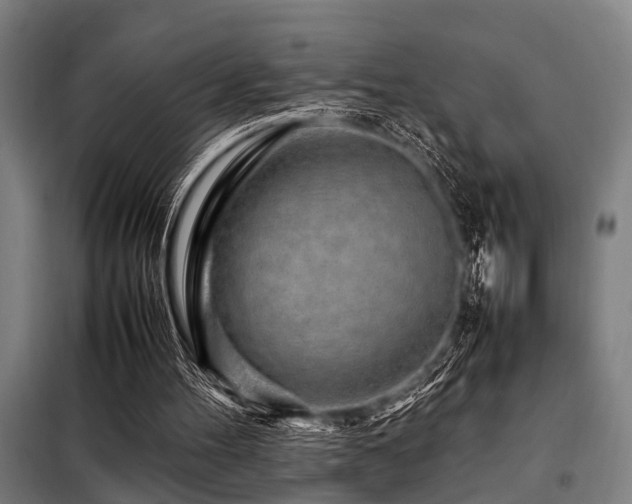 X0000098080100200804041158