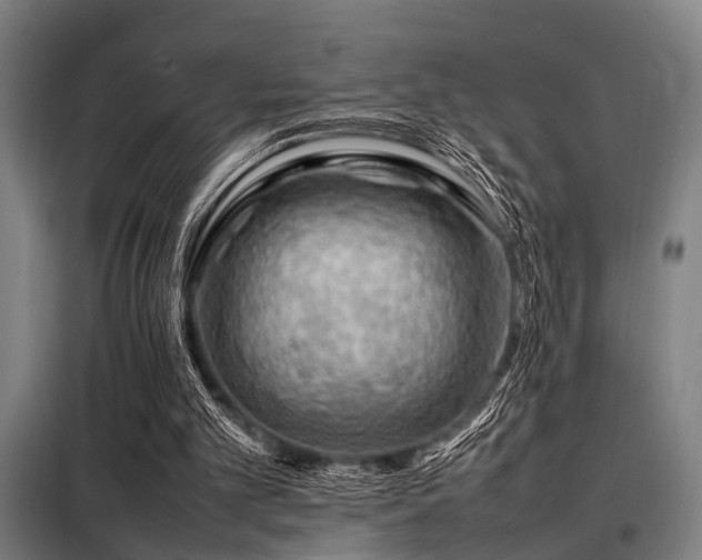 X0000098080101200804041158