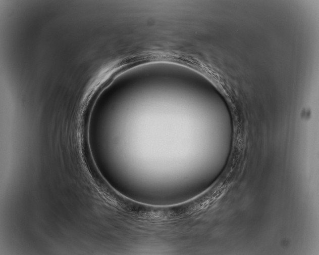 X0000098080103200804041158