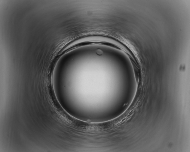 X0000098080105200804041158
