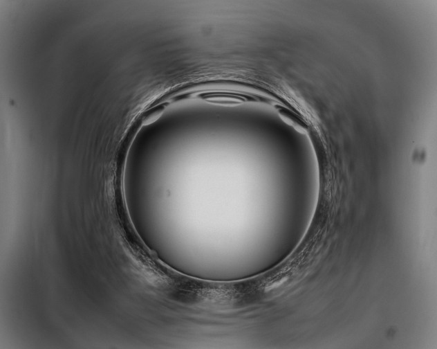 X0000098080107200804041158