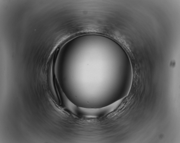 X0000098080108200804041158