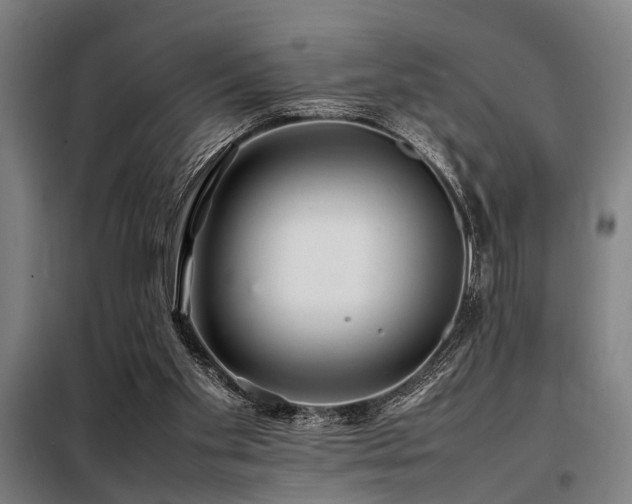 X0000098080109200804041158