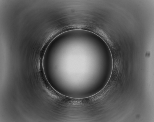 X0000098080110200804041158