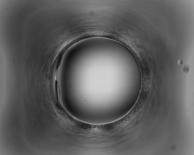 X0000098080111200804041158