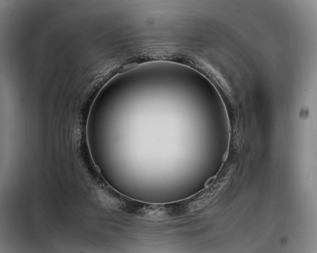 X0000098080113200804041158