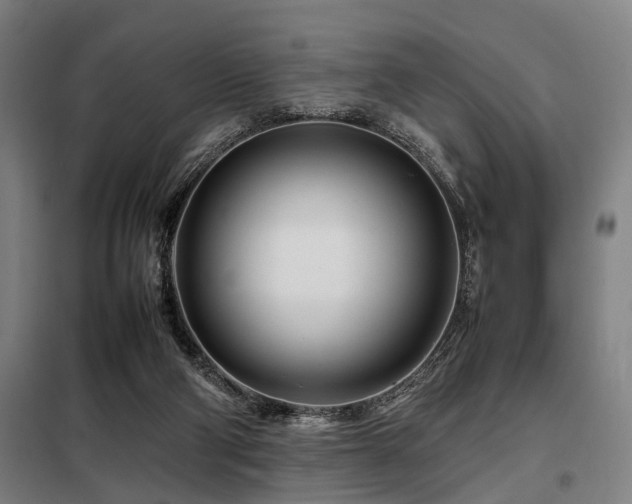 X0000098080114200804041158